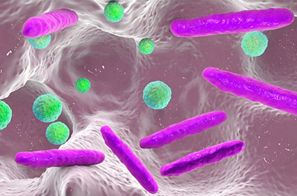 Бактерии ротовой полости